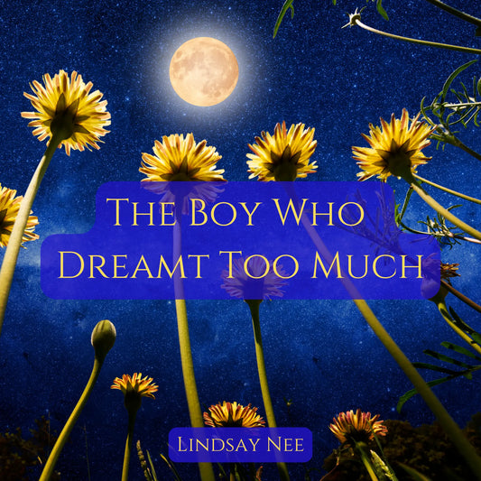 The Boy Who Dreamt Too Much