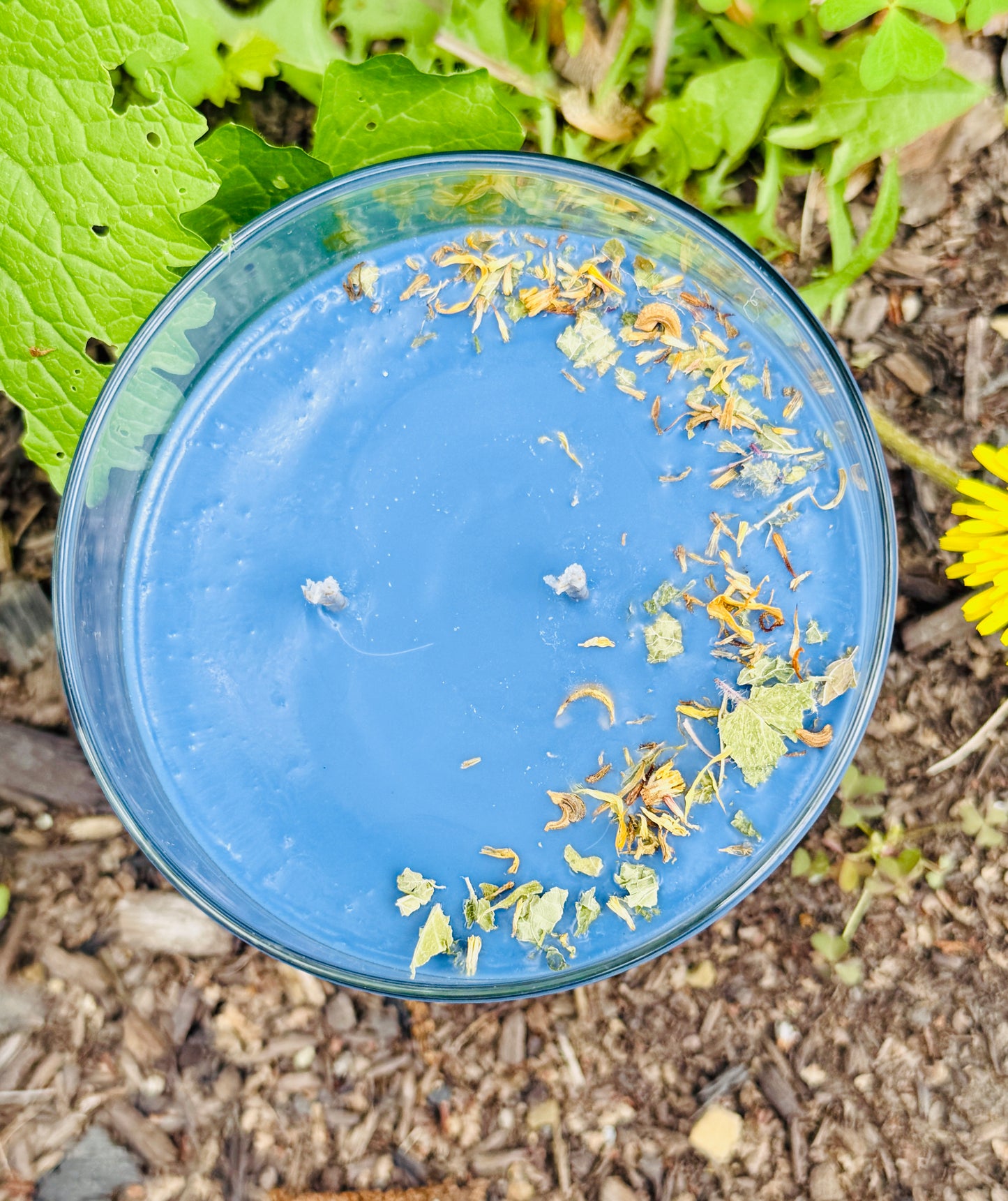 Wild Blueberry Lemon