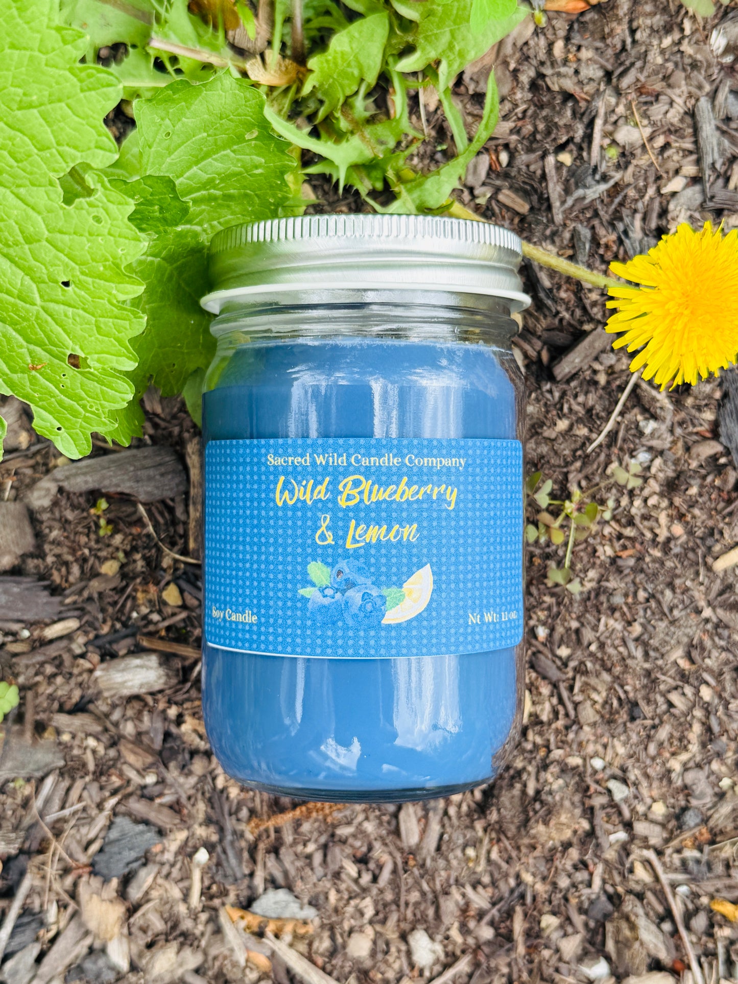 Wild Blueberry Lemon