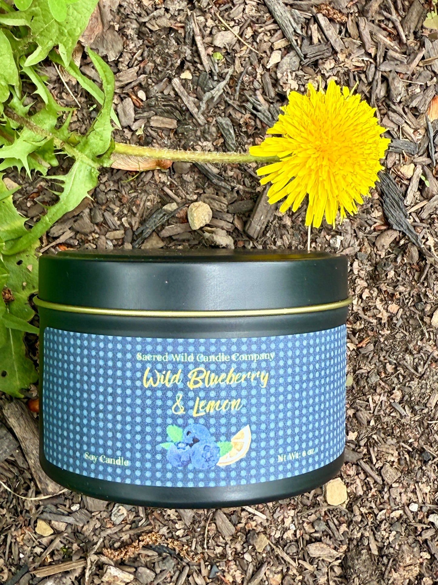 Wild Blueberry Lemon
