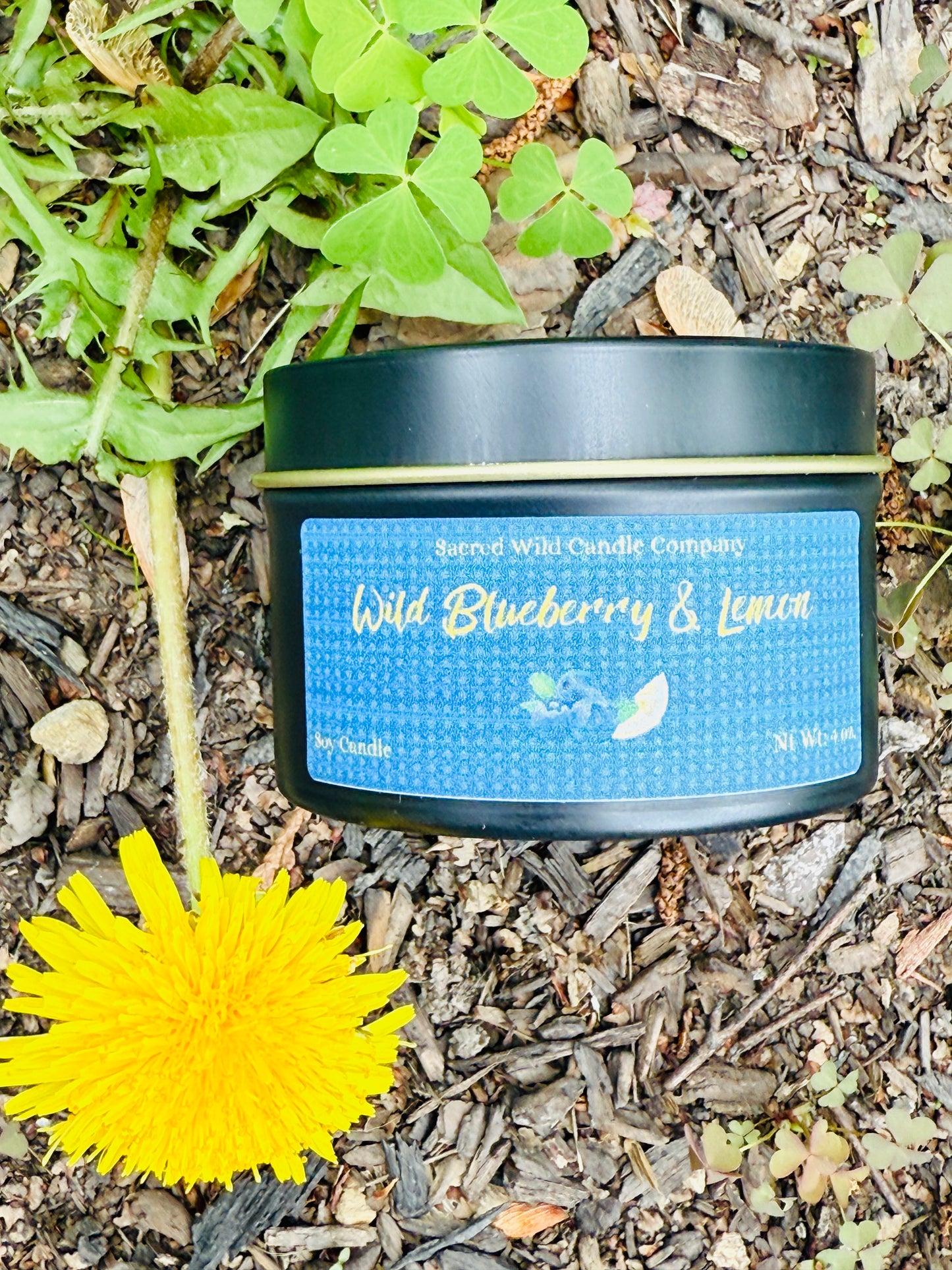 Wild Blueberry Lemon