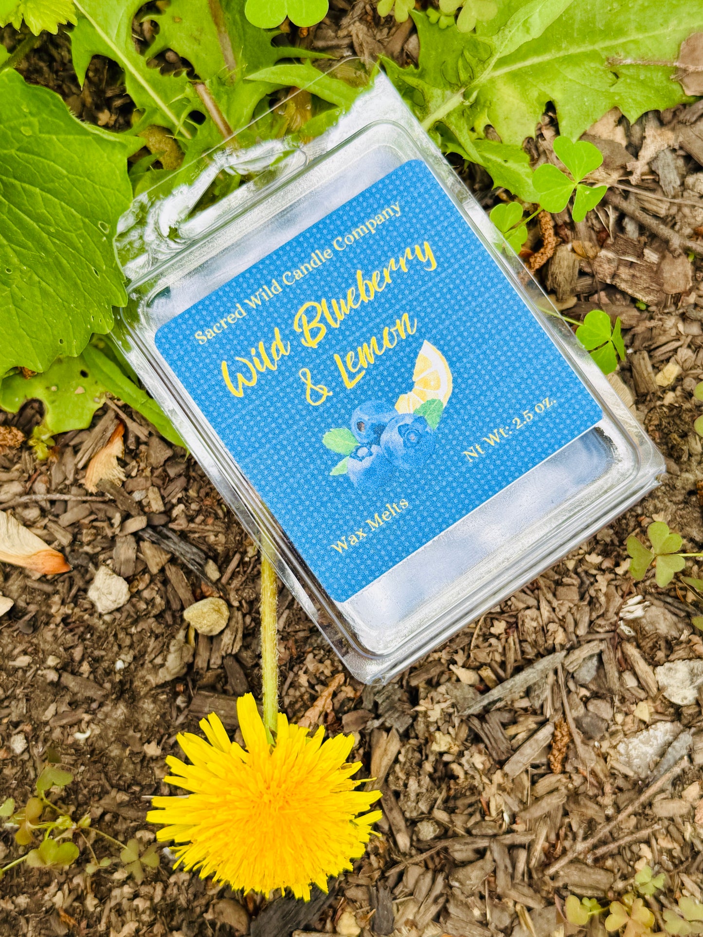 Wild Blueberry Lemon