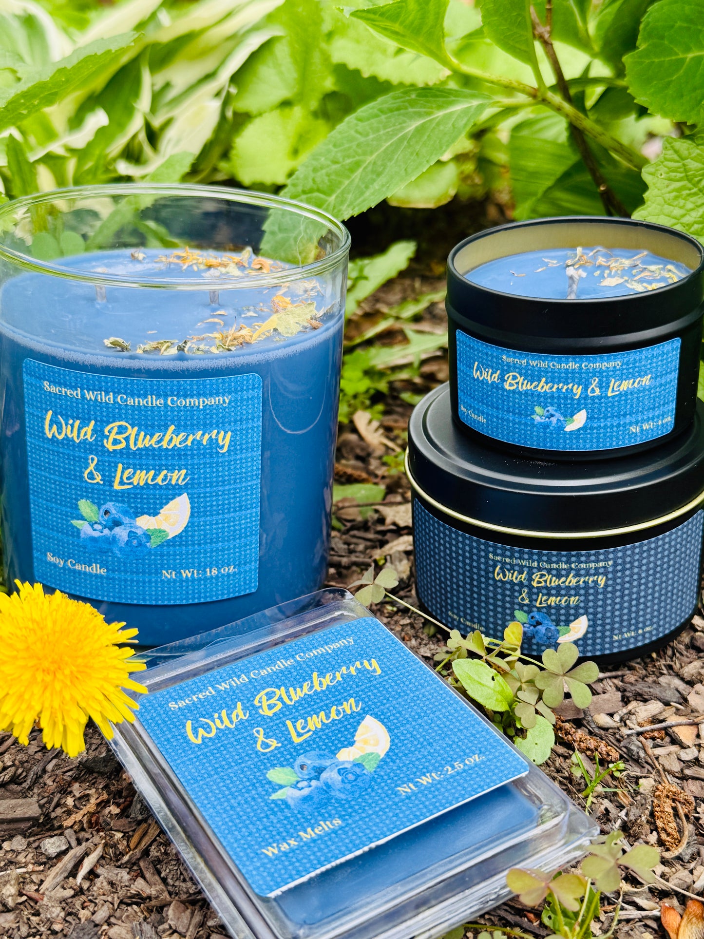 Wild Blueberry Lemon