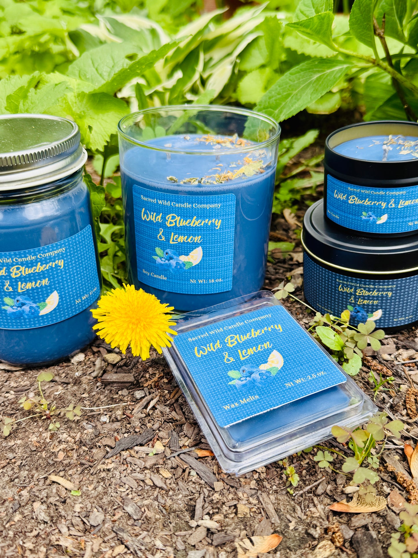 Wild Blueberry Lemon