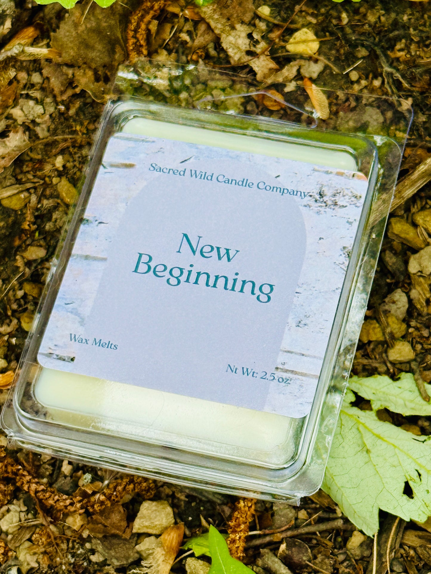 New Beginning