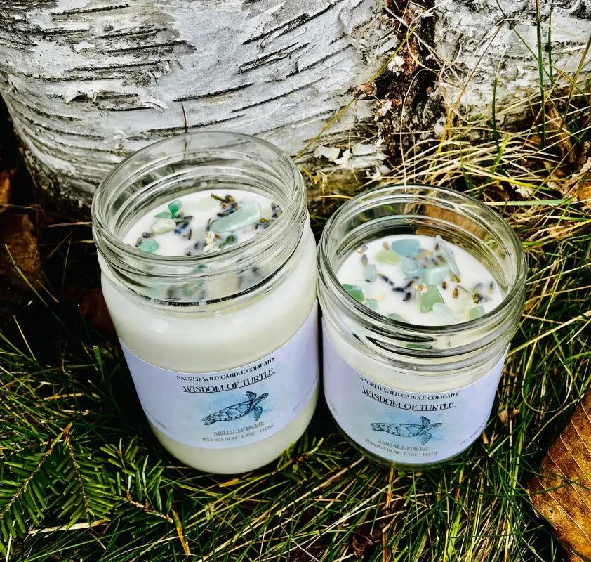 Animal Wisdom: Turtle - Candles