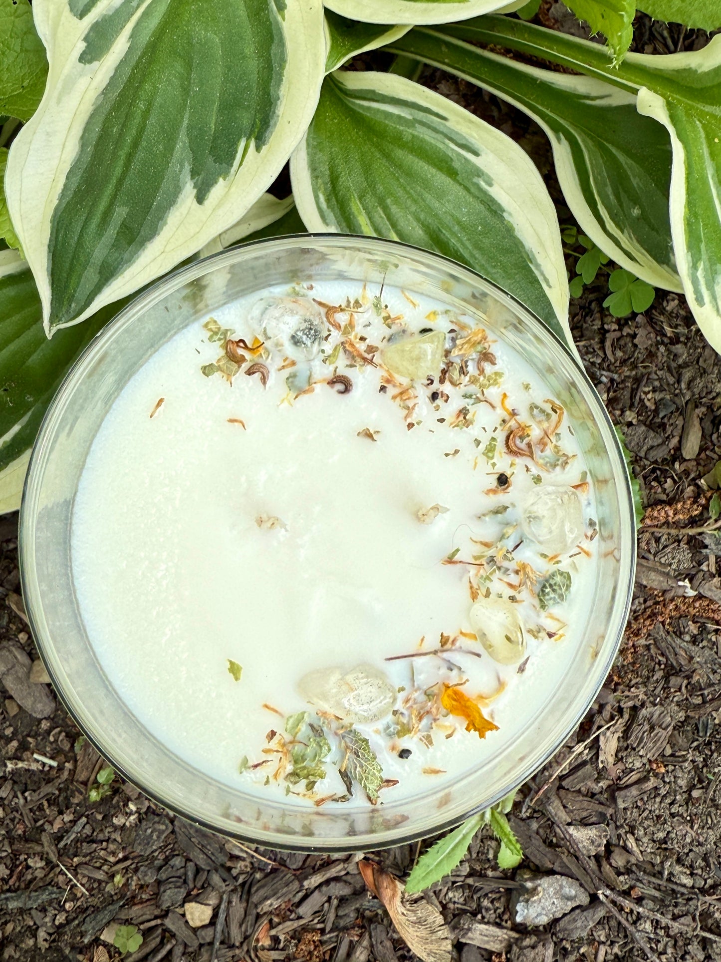 Lemon Enchant-Mint