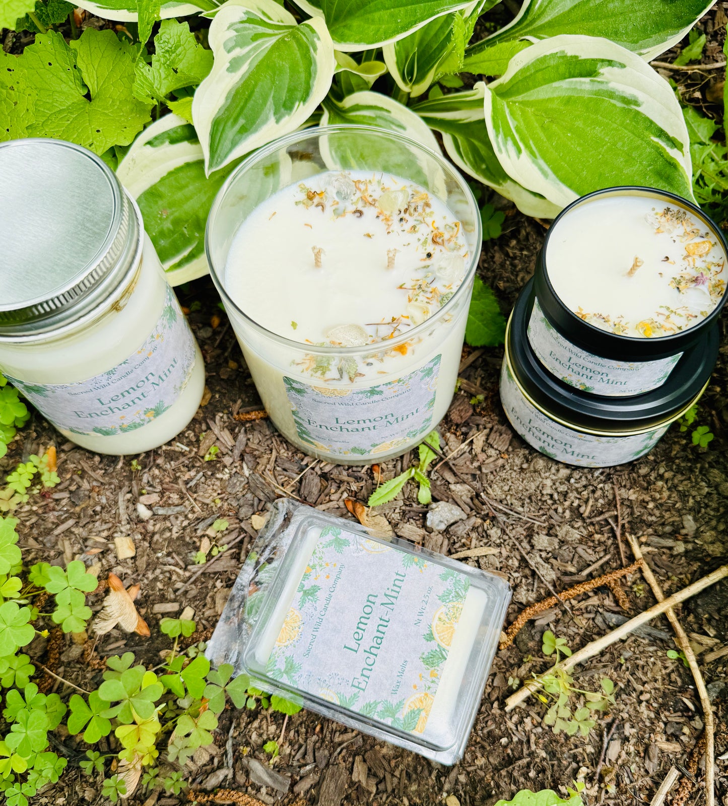 Lemon Enchant-Mint