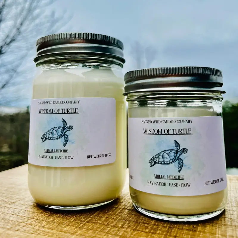 Animal Wisdom: Turtle - Candles